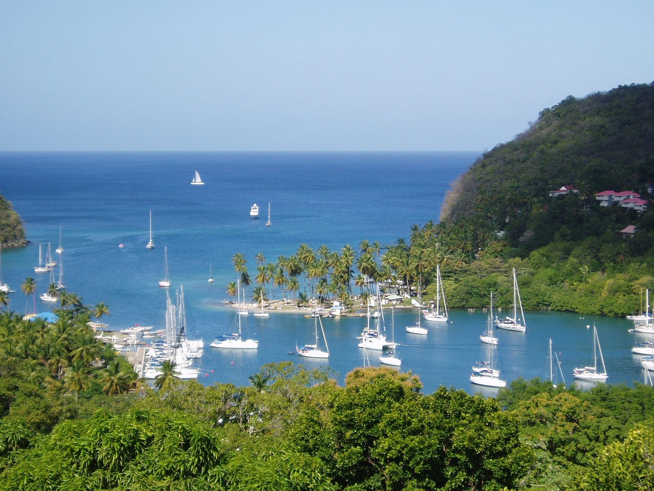 Citiverse experts offering Saint Lucia citizenship by investment guidance