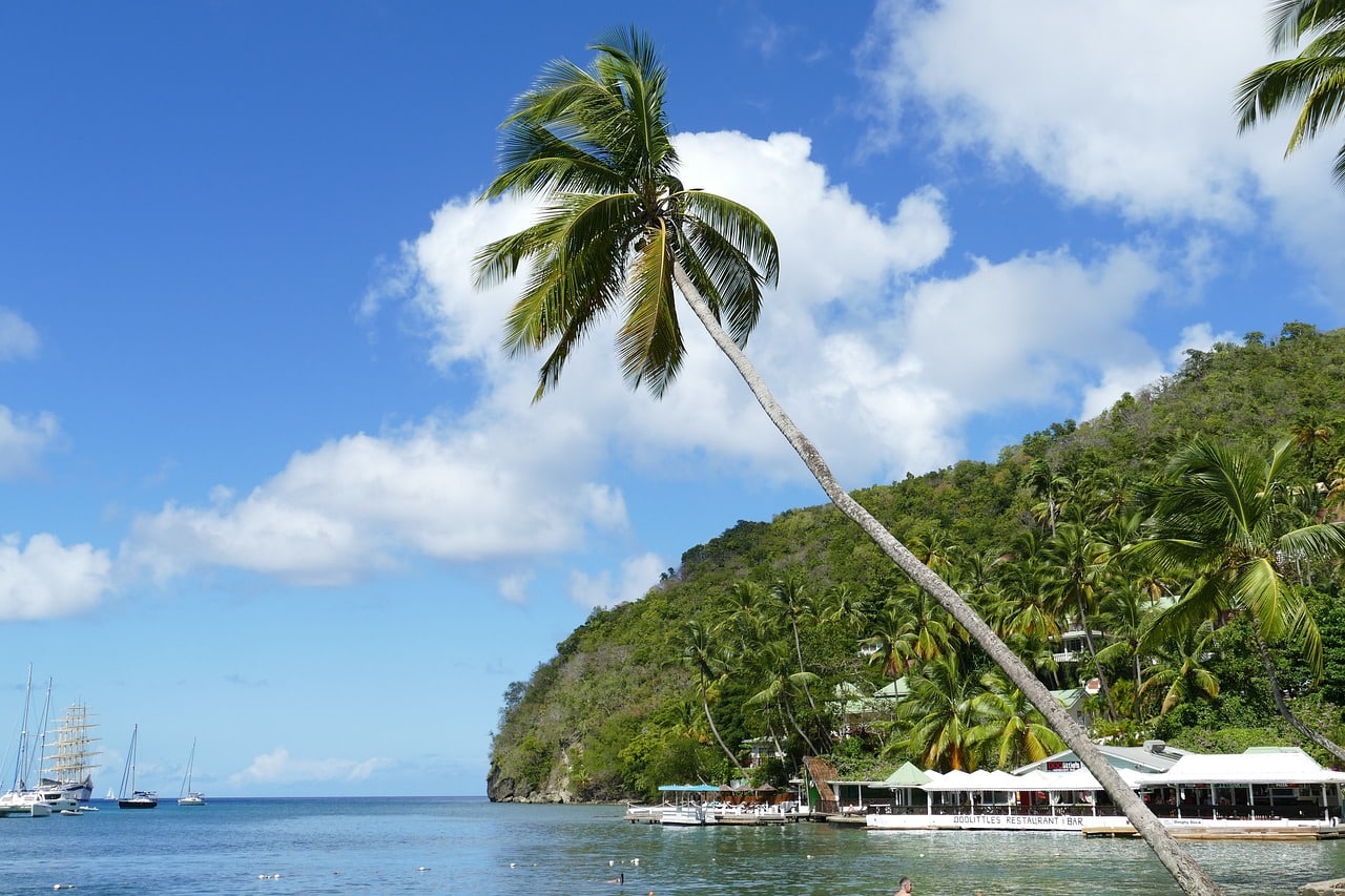 Citiverse experts offering Saint Lucia citizenship by investment guidance