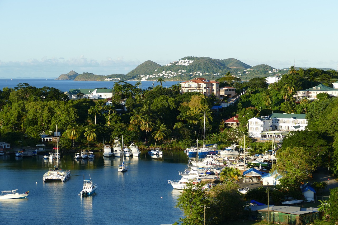 Citiverse experts offering Saint Lucia citizenship by investment guidance