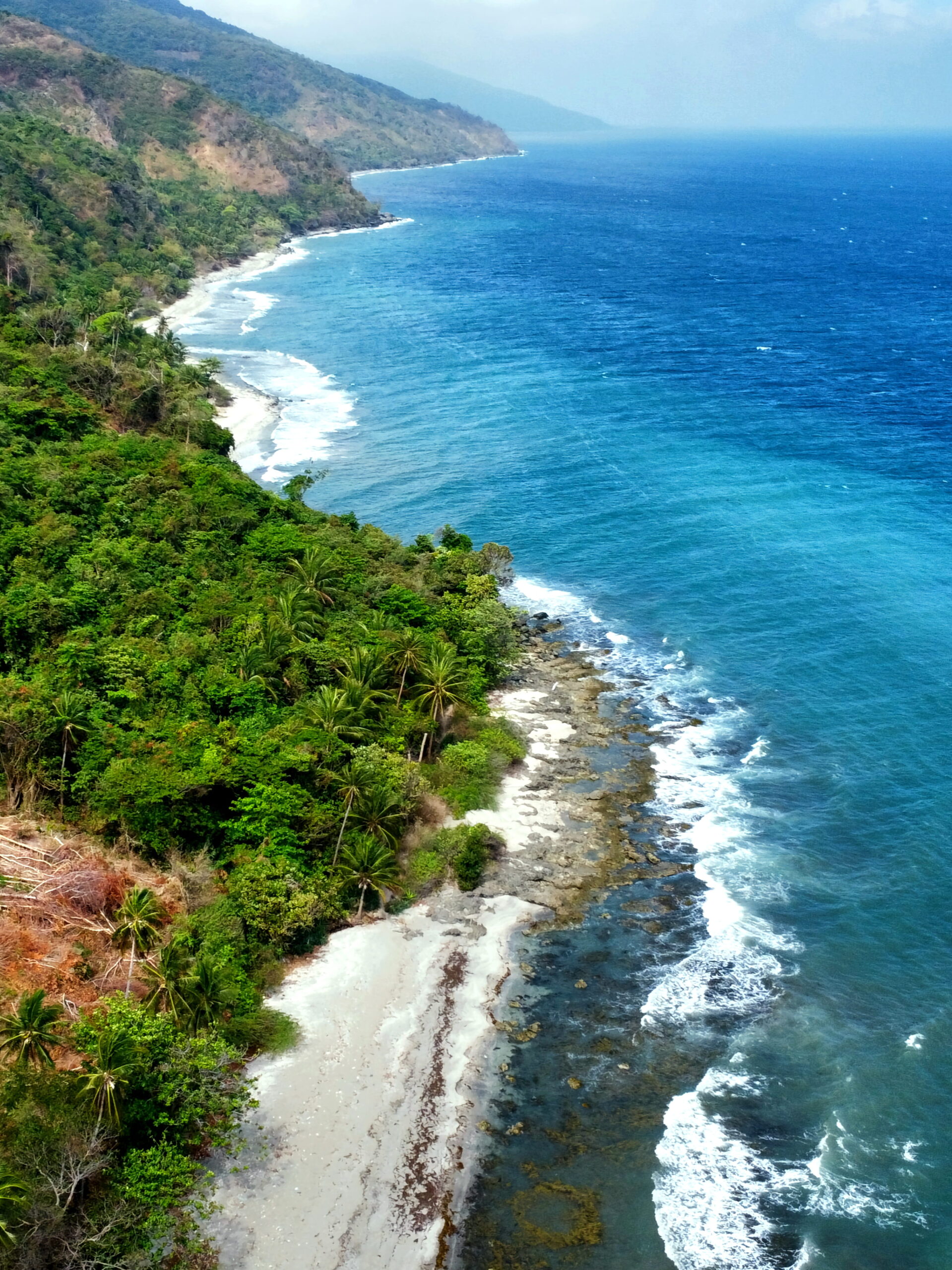 Caribbean Citizenship by Investment Programs 4